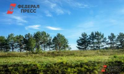 Куйбышевский НПЗ установил в городе эко-экран, который показывает состояние воздуха - fedpress.ru - Самара - Самарская обл.