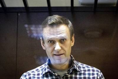 Алексей Навальный - ОЗХО представила исправленную версию проекта доклада по Навальному - lenta.ru - Москва - Германия