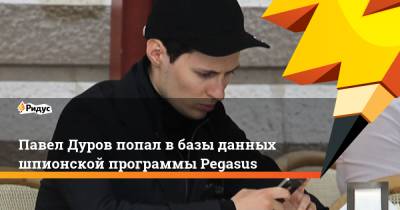 Павел Дуров - Павел Дуров попал в базы данных шпионской программы Pegasus - ridus.ru - Израиль