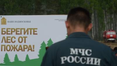 Владимир Путин - Евгений Зиничев - Глава МЧС доложил Путину о неблагоприятном прогнозе развития ситуации с лесными пожарами в РФ - interfax-russia.ru - Россия