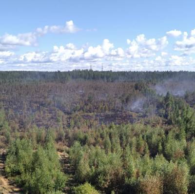 В Сертолово-2 двое суток тушат лесной пожар на площади 56 гектаров - ivbg.ru - Украина - Ленинградская обл.