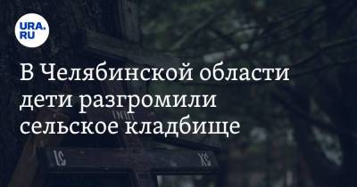 В Челябинской области дети разгромили сельское кладбище - ura.news - Челябинская обл.