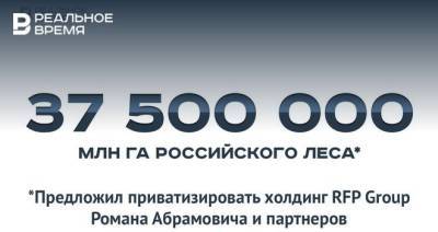 Роман Абрамович - В России предлагают приватизировать 37,5 млн га леса — это много или мало? - realnoevremya.ru - Россия