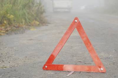 В Туле на пересечении улиц Оружейной и Ползунова наехали на пешехода - tula.mk.ru - Тула - Киреевск