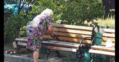 "Устала от пьяных гулянок": журналисты отыскали женщину, распилившую лавочку в Киеве - focus.ua - Украина - Киев