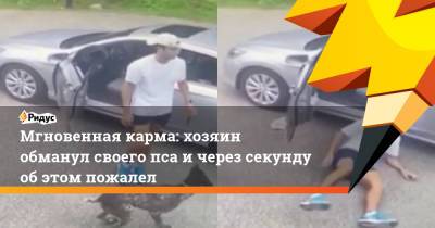 Мгновенная карма: хозяин обманул своего пса и через секунду об этом пожалел - ridus.ru