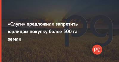 Александр Качура - Алексей Устенко - «Слуги» предложили запретить юрлицам покупку более 500 га земли - thepage.ua - Украина