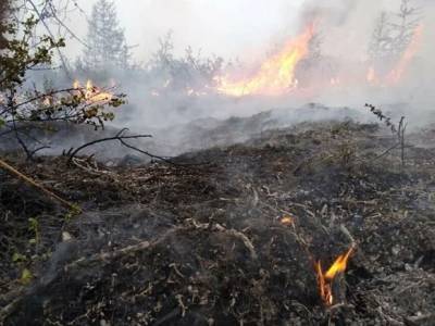 В соцсетях горячо: обсуждают главврача из Якутии, решившего вычесть деньги на тушение пожаров из зарплат подчиненных - rosbalt.ru - респ. Саха