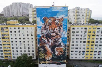 Виктор Цой - В Госдуме хотят упростить согласование граффити - pnp.ru - Москва - Россия - Санкт-Петербург