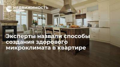 Эксперты назвали способы создания здорового микроклимата в квартире - realty.ria.ru - Москва