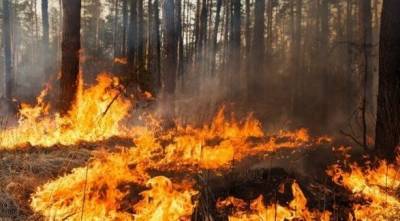 Канадский штат объявил чрезвычайное положение из-за пожаров - unn.com.ua - Украина - Киев - Колумбия - Канада