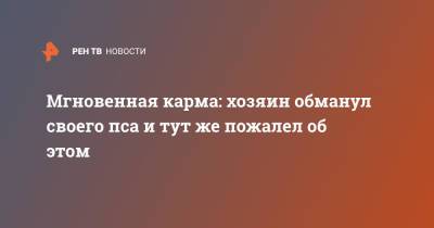 Мгновенная карма: хозяин обманул своего пса и тут же пожалел об этом - ren.tv