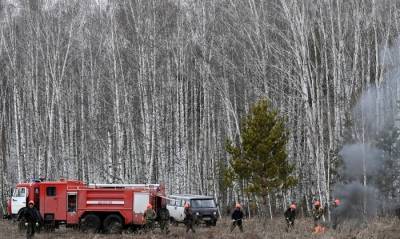 Девять лесных пожаров на территории 94 тыс. га потушили в Якутии - interfax-russia.ru - респ. Саха