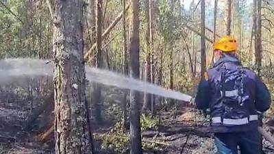 В Карелии к борьбе с пожарами привлекли 700 человек и 150 единиц техники - 1tv.ru - респ. Саха - республика Карелия