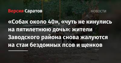 «Собак около 40», «чуть не кинулись на пятилетнюю дочь»: жители Заводского района снова жалуются на стаи бездомных псов и щенков - nversia.ru - Саратов