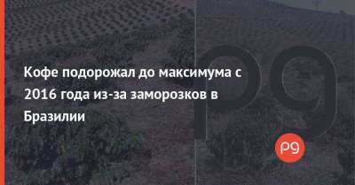 Кофе подорожал до максимума с 2016 года из-за заморозков в Бразилии - thepage.ua - Украина - Бразилия
