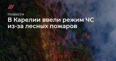 В Карелии ввели режим ЧС из-за лесных пожаров - tvrain.ru - Санкт-Петербург - республика Карелия