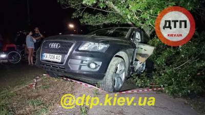 В Киеве пьяная судья устроила ДТП. Свидетели хотели устроить самосуд (фото, видео) - sharij.net - Киев - район Деснянский