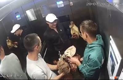 В Екатеринбурге к девушке пристала компания с отрубленными головами животных - znak.com - Екатеринбург