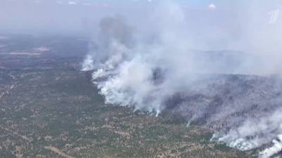 Лесные пожары не удается остановить в США - 1tv.ru - США - штат Орегон