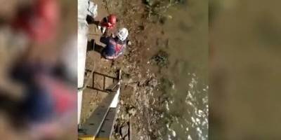 В Новосибирске 12-летнюю девочку снесло течением на набережной Оби - runews24.ru - Новосибирск