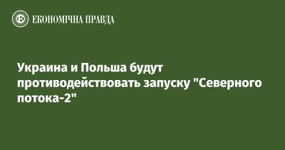 Збигнев Рау - Украина и Польша будут противодействовать запуску "Северного потока-2" - epravda.com.ua - Россия - Украина - Польша