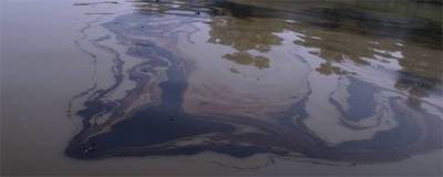 В двух реках Пермского района обнаружили разлив нефти - runews24.ru - Пермский край - район Пермский - Экология