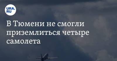 В Тюмени не смогли приземлиться четыре самолета - ura.news - Москва - Санкт-Петербург - Сочи - Египет - Тюмень - Челябинск - Каир