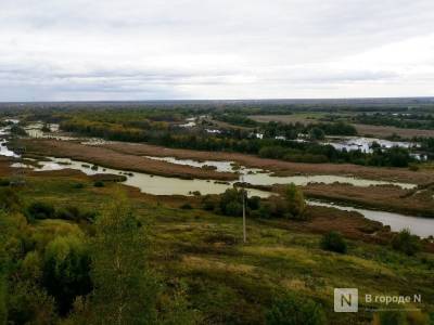 Артемовские луга продолжают заваливать мусором - vgoroden.ru - район Приокский - Экология