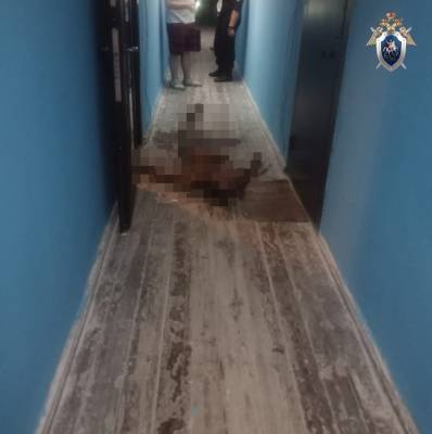 14-летнего нижегородского гимназиста подозревают в убийстве соседа - vgoroden.ru - Россия - Нижегородская обл. - Следственный Комитет