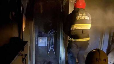 В Сенице при пожаре в многоэтажке эвакуированы 18 человек - belta.by - Белоруссия - Минск - район Минский