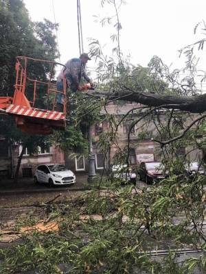 Куда звонить и писать, если вам понадобится помощь - odessa-life.od.ua - Украина - Одесса