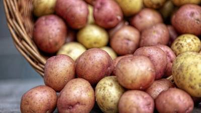 Джамбулат Хатуов - Власти ищут меры для снижения цен на картофель и овощи - piter.tv - Россия