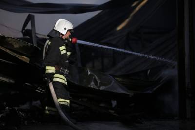Под Волгоградом в ночном пожаре в СНТ погибли два человека - volg.mk.ru - Волгоград