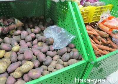 Евгений Куйвашев - В ЗакСО озаботились снижением цен на продукты "борщевого набора" - nakanune.ru - Россия - Екатеринбург