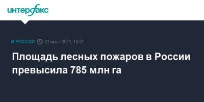 Площадь лесных пожаров в России превысила 785 млн га - interfax.ru - Москва - Россия - Красноярский край - Иркутская обл. - респ. Саха - Чукотка - республика Карелия