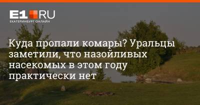 Куда пропали комары? Уральцы заметили, что назойливых насекомых в этом году практически нет - e1.ru - Россия - Екатеринбург - Экология