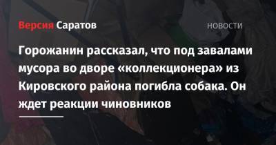 Саратовец рассказал, что под завалами мусора во дворе коллекционера из Кировского района погибла собака - nversia.ru - р-н Кировский