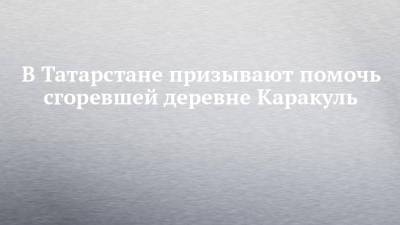 В Татарстане призывают помочь сгоревшей деревне Каракуль - chelny-izvest.ru - респ. Татарстан - Омская обл.
