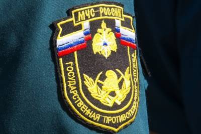 В Тульской области составили 6 протоколов за купание в несанкционированных местах - tula.mk.ru - Россия - Тула - Тульская обл.