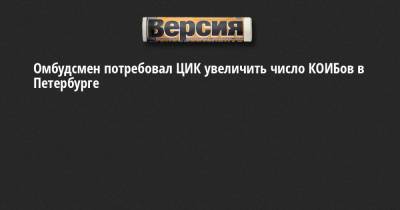 Элла Памфилова - Александр Шишлов - Омбудсмен потребовал ЦИК увеличить число КОИБов в Петербурге - neva.versia.ru - Санкт-Петербург