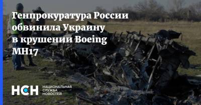 Генпрокуратура России обвинила Украину в крушении Boeing MH17 - nsn.fm - Россия - Украина - Киев - Куала-Лумпур - Амстердам - Донецкая обл.