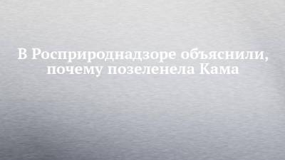 В Росприроднадзоре объяснили, почему позеленела Кама - chelny-izvest.ru - респ. Татарстан - Набережные Челны