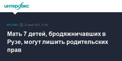 Мать 7 детей, бродяжничавших в Рузе, могут лишить родительских прав - interfax.ru - Москва - Московская обл. - Московская область