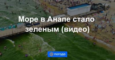 Море в Анапе стало зеленым (видео) - news.mail.ru - Анапа - Экология