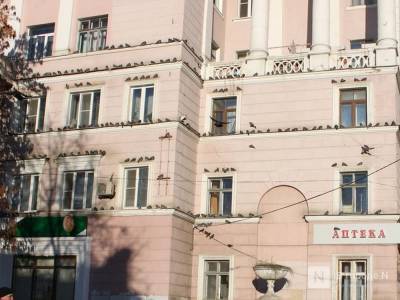 Более 45 домов в заречной части Нижнего Новгорода попадают под реновацию - vgoroden.ru - Нижний Новгород - Нижний Новгород - Строительство