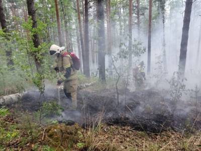 В России горят более 785 тысяч га лесов - rosbalt.ru - Россия - Красноярский край - Иркутская обл. - Ленинградская обл. - Башкирия - Московская обл. - респ. Коми - Нижегородская обл. - Тюменская обл. - Рязанская обл. - Владимирская обл. - респ. Саха - Костромская обл. - Вологодская обл. - Свердловская обл. - Ульяновская - Курганская обл. - Югра - Псковская обл. - Чукотка - Волгоградская обл. - респ. Марий Эл - респ. Удмуртия - Пермский край - Омская обл. - Оренбургская обл. - Архангельская обл. - Пензенская обл. - Новгородская обл. - республика Карелия