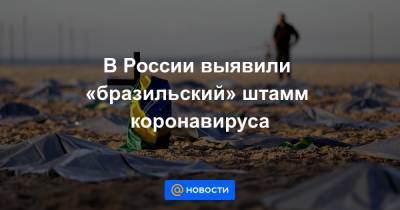 В России выявили «бразильский» штамм коронавируса - news.mail.ru - Россия