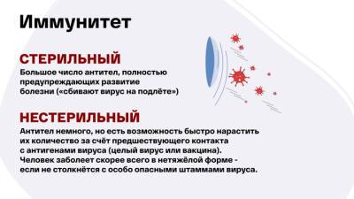 Какой иммунитет сбивает вирус на подлете? Разъяснение врача - vesti.ru