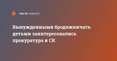 Вынужденными бродяжничать детьми заинтересовались прокуратура и СК - ren.tv - Московская обл. - Московская область